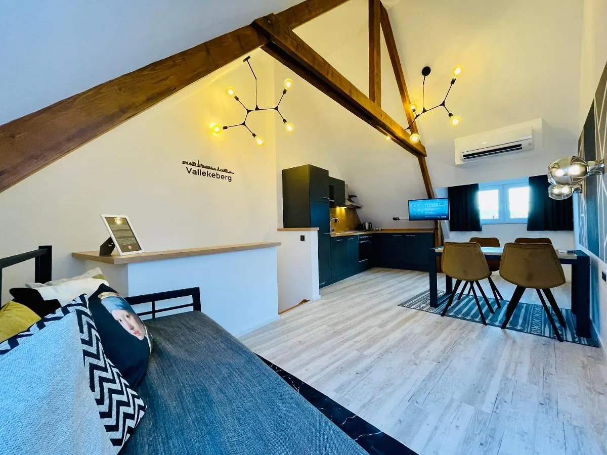 City Apartments Grendelplein Valkenburg aan de Geul 0*,  Pays-Bas